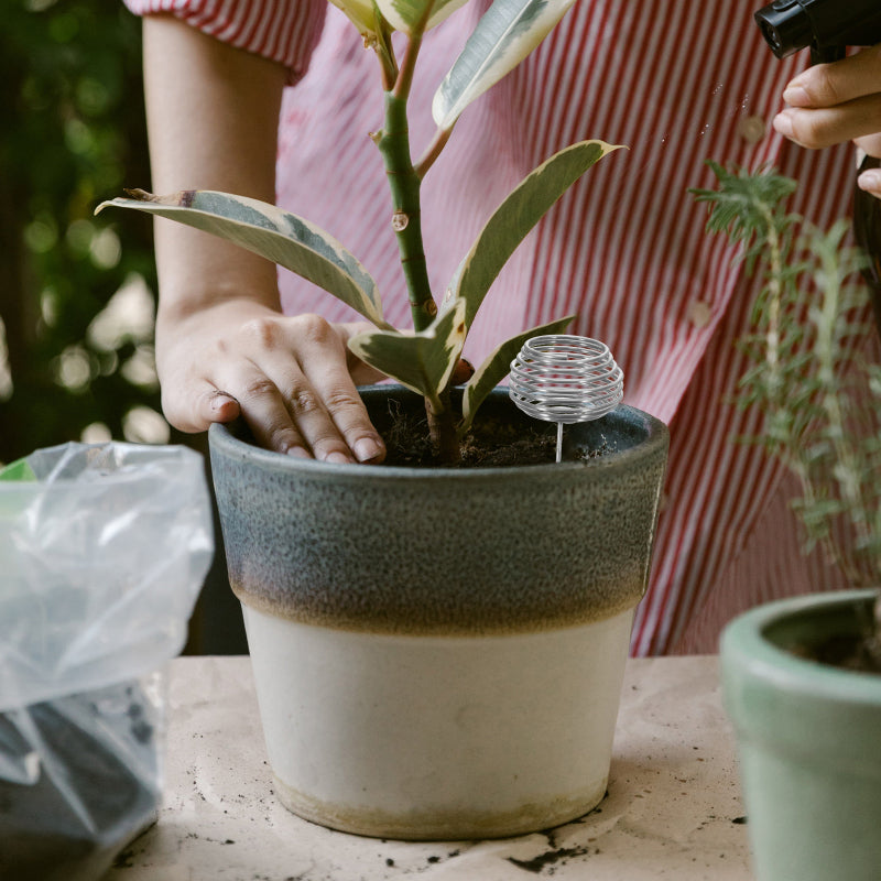 Contenitore per fertilizzante in acciaio inossidabile