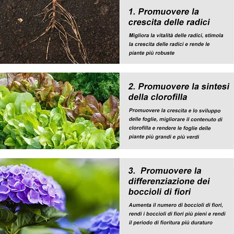 Compresse fertilizzanti universali da giardino a rilascio lento